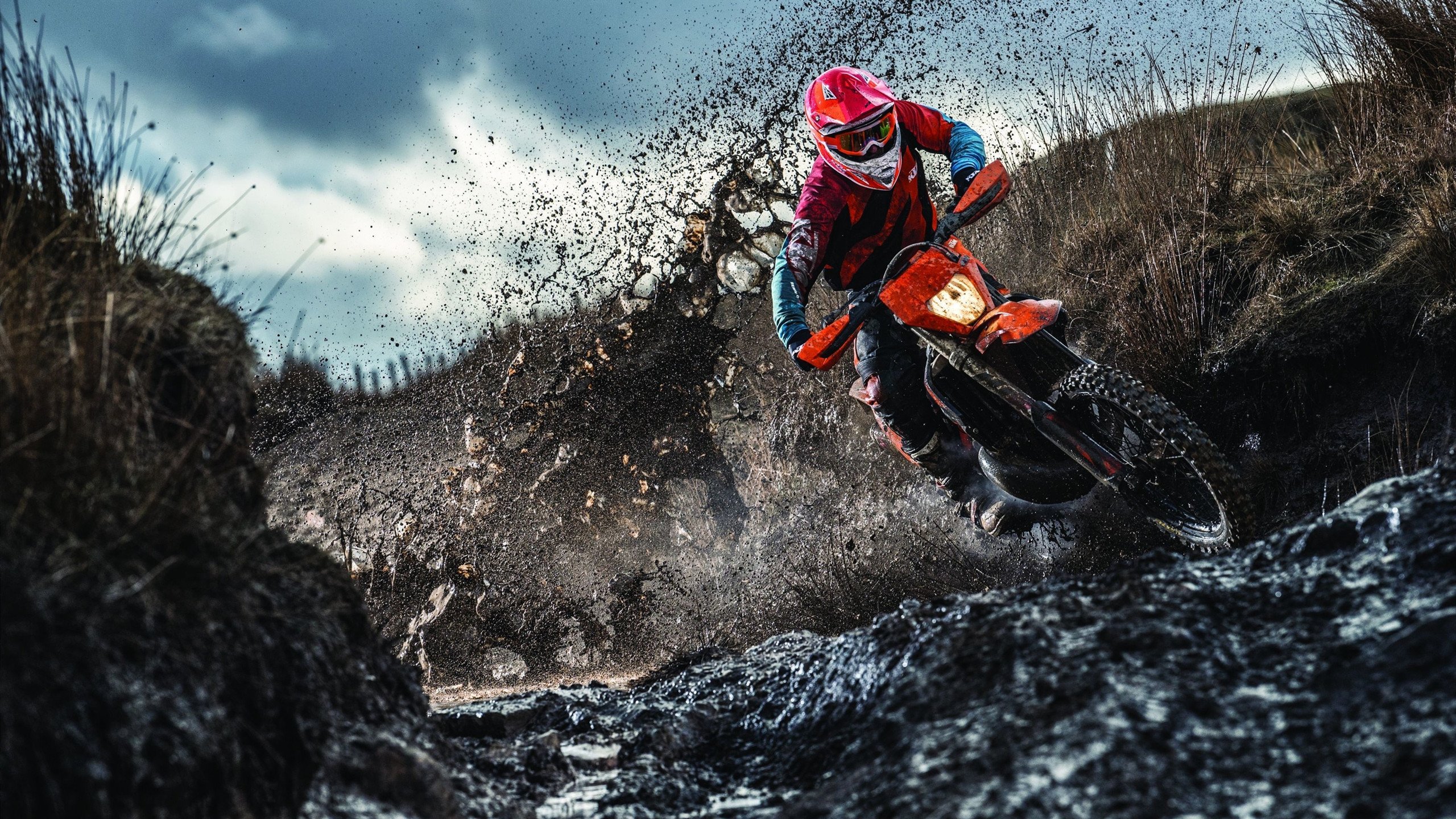 从绝望到胜利，从绝望到重生